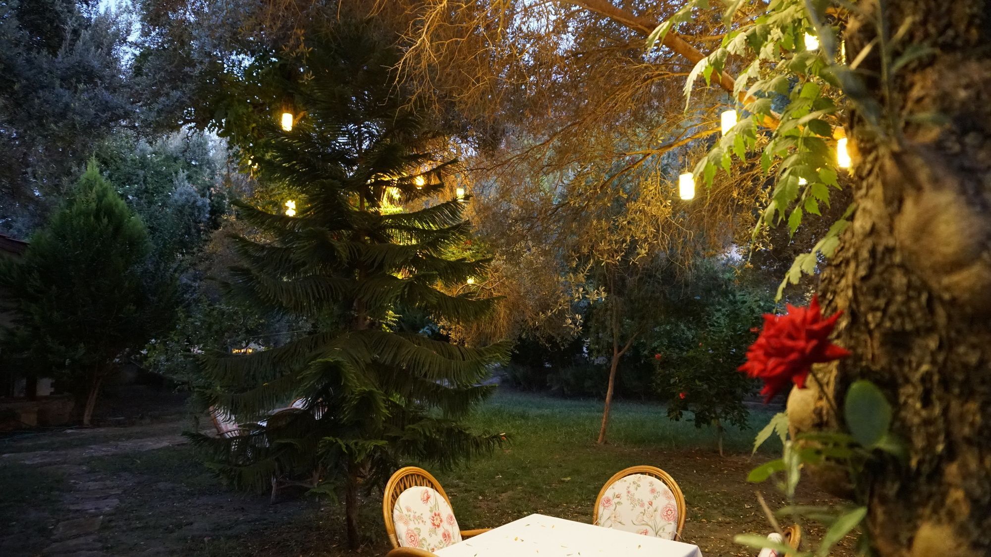 Datca Masal Gibi Exterior foto